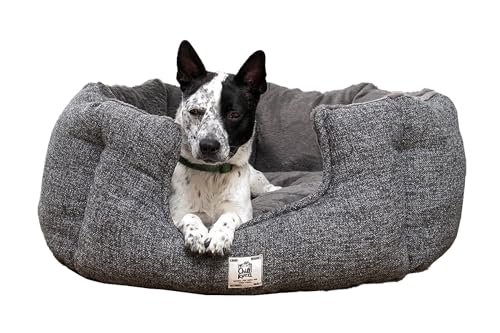 Beeztees Nano Hundebett Chill Kuzzi, Hundebett, Grau, 76 x 76 x 33 cm Beeztees Nano Hundebett Chill Kuzzi, Hundebett, Grau, 76 x 76 x 33 cm von Beeztees