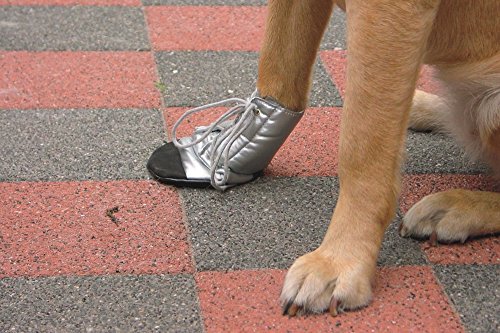 Beeztees 795870 Pfotenschutz, Größe XXL, Silber Beeztees 795870 Pfotenschutz, Größe XXL, Silber von Beeztees