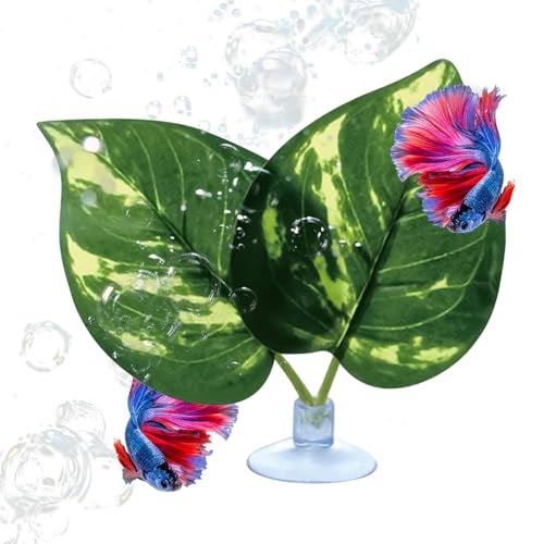 Befeixue Betta Bett - Aquarium Blatt Pad Mit Saugnapf | Kunstpflanze Ruheplatz Schlafplatz Versteck Laichplatz Guppy Befeixue Betta Bett - Aquarium Blatt Pad Mit Saugnapf | Kunstpflanze Ruheplatz Schlafplatz Versteck Laichplatz Guppy von Befeixue