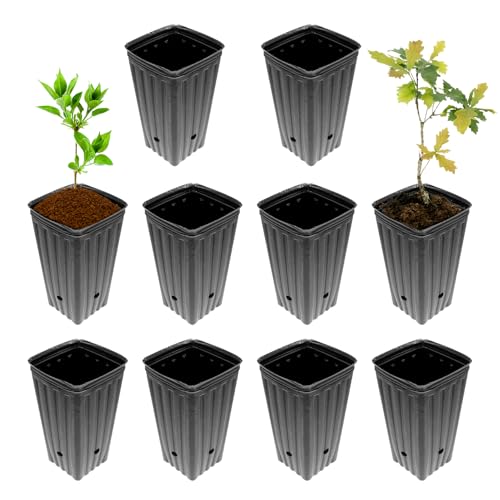 Befeixue Keimlingstassen, Topftöpfe | 10x Garden Plant Nursery Cups | Kindergarten mit Entwässerungsloch Garten Pflanzbehälter Sämlingsplanter für Blume Befeixue Keimlingstassen, Topftöpfe | 10x Garden Plant Nursery Cups | Kindergarten mit Entwässerungsloch Garten Pflanzbehälter Sämlingsplanter für Blume von Befeixue