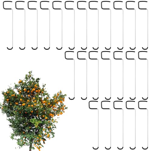 Befeixue Obstbaum Astspreizer | Pflanzenspreizer Werkzeug | rutschfeste Biegehilfe Gartenzubehör für Wachstumskontrolle von Obstbäumen Weinberg Landschaftsgestaltung Befeixue Obstbaum Astspreizer | Pflanzenspreizer Werkzeug | rutschfeste Biegehilfe Gartenzubehör für Wachstumskontrolle von Obstbäumen Weinberg Landschaftsgestaltung von Befeixue