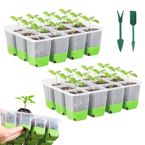 Begonia 2 Stück Zimmergewächshaus Anzuchtkasten,mit 24 Pflanzlöchern,Mini Gewächshaus Anzuchtschalen,Wiederverwendbare Zimmergewächshaus Anzuchtkasten,für Sämlinge, Blumen, Gemüse von Begonia