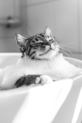 BeiYiHo Bilder Badezimmer Tiere Schwarz Weiß Poster Lustige Tiere Bild Toilette Tier Witzige Bilder für Gäste WC Wandbild Deko Kunstdruck Bad Leinwand Modern BeiYiHo Bilder Badezimmer Tiere Schwarz Weiß Poster Lustige Tiere Bild Toilette Tier Witzige Bilder für Gäste WC Wandbild Deko Kunstdruck Bad Leinwand Modern von BeiYiHo