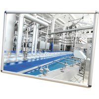 Vialux® Flachspiegel, Acrylglas (PMMA), HxB 1.200 x 400 mm, mit Rahmen von Vialux®