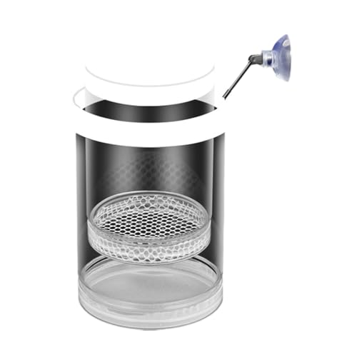 Aquarien Brutkasten Brutkasten mit Netz und Saugnapf für Guppy Bettas Fische und Garnelen Isolation Zucht Einfache Installation Fisch Laichkasten Aquarien Brutkasten Brutkasten mit Netz und Saugnapf für Guppy Bettas Fische und Garnelen Isolation Zucht Einfache Installation Fisch Laichkasten von Beimus