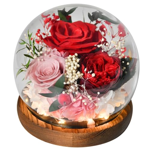 Ewige Rose im Glas mit Licht, Infinity Blumen Konservierte Rosen als Geschenke für Frauen Mama Oma Freundin zum Valentinstag Muttertag Geburtstag Jahrestag Thanksgiving Hauptdekor Weihnachten, Rot von Beinhome