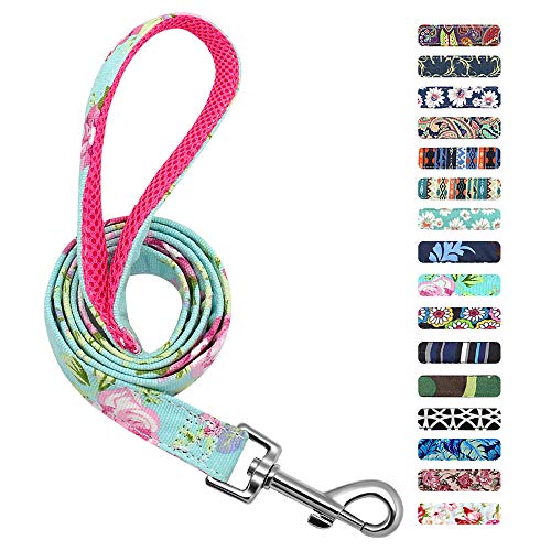 Beirui Floral Dog Lead for Small Medium Large Dogs - Durable Strong Nylon Light-Weight Dog Lead,120cm*2cm,Mint Green Floral von Beirui