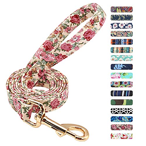 Beirui Floral Dog Lead for Small Medium Large Dogs - Durable Strong Nylon Light-Weight Dog Lead,150cm*2cm,Beige Flower von Beirui