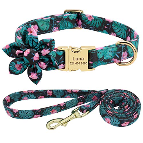 Beirui Hundehalsband und Leine, Set für Hündinnen, mit Blumenmuster und Gravur, mit goldfarbener Schnalle, personalisierbar (rosa Muster, M) von Beirui