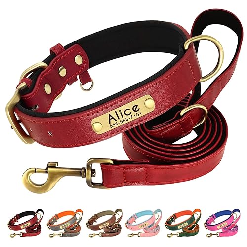 Beirui Hundehalsband und Leine, aus weichem, gepolstertem Leder, verstellbar, mit langlebigen Metallbeschlägen, für kleine, mittelgroße und große Hunde (Rot, Halsumfang 27,9–38,1 cm) von Beirui