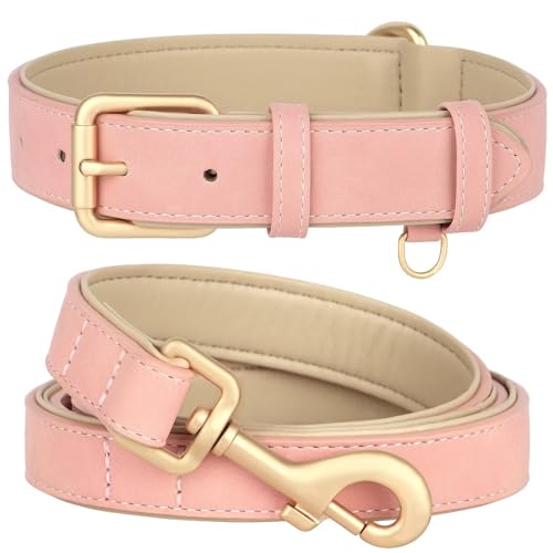 Beirui Hundehalsband und Leine, weich gepolstertes Leder-Set, robuste Hundeleine und Halsband, Set mit Metallschnalle, atmungsaktiv, mit 122 cm Langer Leder-Hundeleine für kleine, mittelgroße und Beirui Hundehalsband und Leine, weich gepolstertes Leder-Set, robuste Hundeleine und Halsband, Set mit Metallschnalle, atmungsaktiv, mit 122 cm Langer Leder-Hundeleine für kleine, mittelgroße und von Beirui