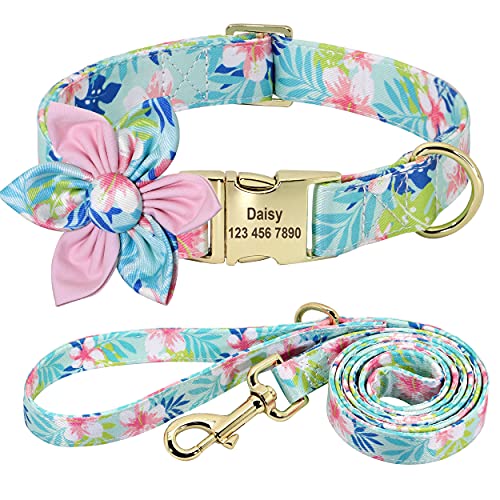 Beirui Hundehalsband und Leine, Set für Hündinnen, mit Blumenmuster und Gravur, mit goldfarbener Schnalle, personalisierbar (Pfirsichblüte, S) von Beirui