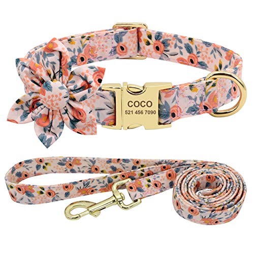 Beirui Hundehalsband und Leine für weibliche Hunde mit Blumenmuster und Gravur, mit goldfarbener Schnalle (orangefarbenes Muster, XS) von Beirui