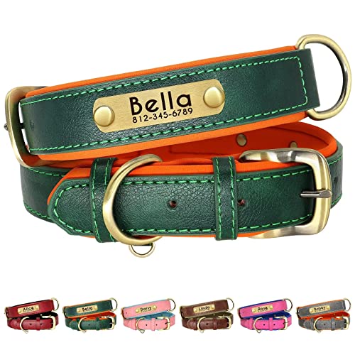 Beirui Personalisiertes, weich gepolstertes Leder-Hundehalsband –Robustes Hundehalsband mit langlebigen Metallbeschlägen für kleine, mittelgroße und große Hunde (grün, Halsumfang 22,9–33 cm) von Beirui