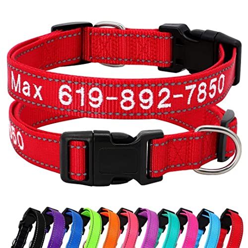Beirui Personalisiertes Hundehalsband – Besticktes individuelles Hundehalsband mit Namen und Telefonnummer – reflektierendes Nylon-Haustierhalsband für kleine, mittelgroße und große Hunde von Beirui