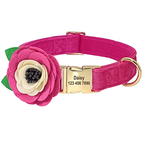 Beirui Weiches Samt-Hundehalsband mit abnehmbarem Blumen-Zubehör – personalisiertes, süßes Hundehalsband mit Namensschild – Bezauberndes Halsband für kleine, mittelgroße und große Hunde (Hot Pink, M) von Beirui