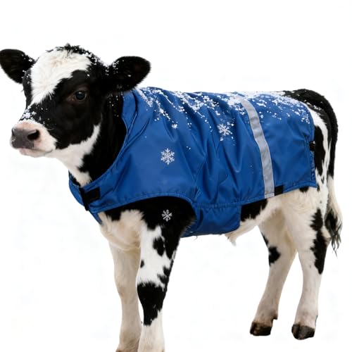 Beiykhera Kalbedecke, Reflektierende Bauchschutzweste Für Nutztiere, Winter Kalb Jacke Mit Verstellbaren Trägern, Nachtsichtschutz Bei Transport Und Auf Der Weide von Beiykhera