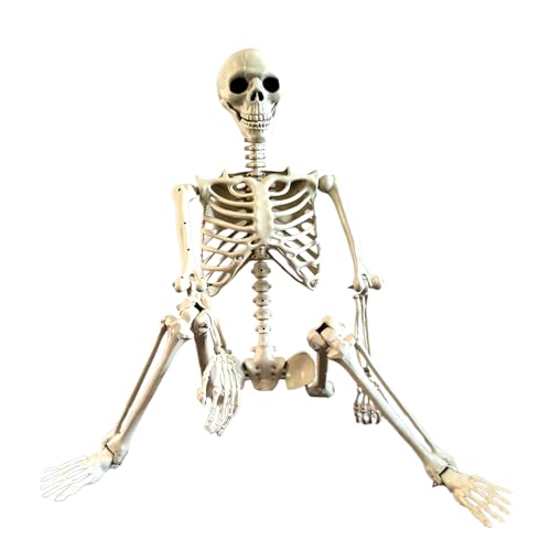 Halloween Posable Skelett 90cm Halloween Ganzkörper Skelette Mit Beweglichen Gelenken Party Requisite Gelenken Gruseliges Skelett Für Yard Garten Rasen Dekorationen, Spukhaus Zubehör von Beiykhera