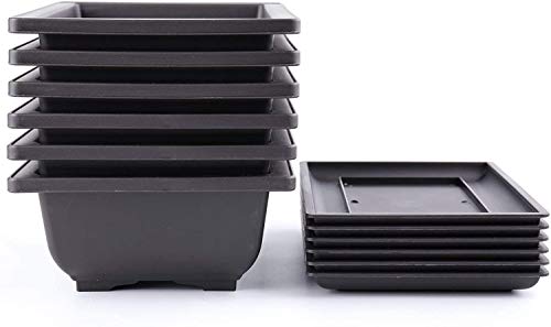 Bekith 6 Stück 23cm Bonsaischale Kunststoff Tief Blumentopf Quadratisch Pflanztopf mit Tablett für Garten Pflanzen Hof Wohnen Zimmer Balkon Büro von Bekith