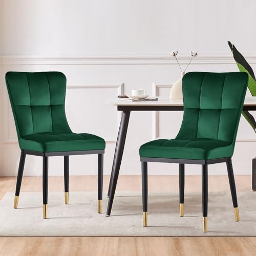 Bekrvio Esszimmerstuhl 2er Set, Samt Esszimmerstühle mit hoher Rückenlehne & goldenen Metallbeinen, Dining Chairs,Moderne Stühle für Esszimmer, Wohnzimmer oder Küche, Komfortsitz bis 150 kg von Bekrvio