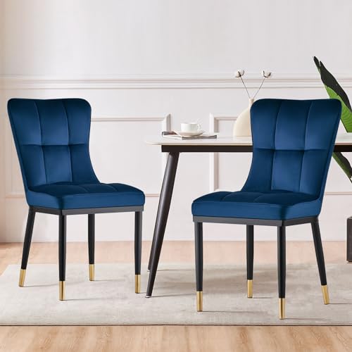 Bekrvio Esszimmerstuhl 2er Set, Samt Esszimmerstühle mit hoher Rückenlehne & goldenen Metallbeinen, Dining Chairs,Moderne Stühle für Esszimmer, Wohnzimmer oder Küche, Komfortsitz bis 150 kg von Bekrvio