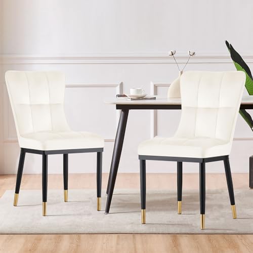 Bekrvio Esszimmerstuhl 2er Set, Samt Esszimmerstühle mit hoher Rückenlehne & goldenen Metallbeinen, Dining Chairs,Moderne Stühle für Esszimmer, Wohnzimmer oder Küche, Komfortsitz bis 150 kg Bekrvio Esszimmerstuhl 2er Set, Samt Esszimmerstühle mit hoher Rückenlehne & goldenen Metallbeinen, Dining Chairs,Moderne Stühle für Esszimmer, Wohnzimmer oder Küche, Komfortsitz bis 150 kg von Bekrvio