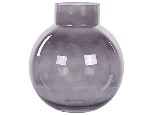 Deko Blumenvase Glas grau 22 cm bauchig mit breiter Öffnung Modern Polydrosos von Beliani