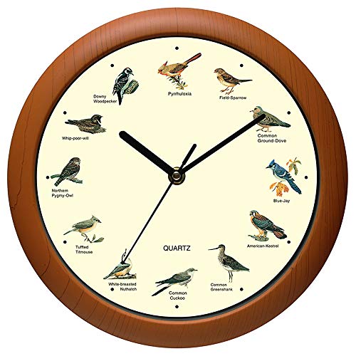 Belinlen Singing Bird Wanduhr 30,5 cm mit Namen und Liedern der Vogel von Belinlen