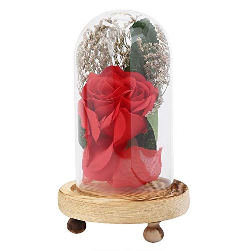 Belissy Decke aus Glas, künstliche Rose, Ornament, Dekoration für den Tag, Geschenk, Home Decor, Valentinstag Belissy Decke aus Glas, künstliche Rose, Ornament, Dekoration für den Tag, Geschenk, Home Decor, Valentinstag von Belissy
