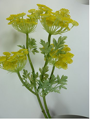 Bella-Vita Dapo Kunstblumen Fenchel mit 2 Blüten und 3 Blätter - 2 Stück im Set Dekopflanze Dekoration von Bella-Vita Dapo