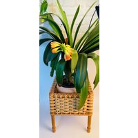 Blumenständer Aus Geflecht - Modernes Erbe Für Vintage-Freunde von BelladoradoReDesign