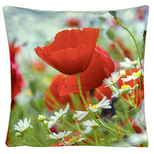 Bellanda Kissenhülle Kissenbezug 40x40 cm Kissen Dekokissen Fotokissen Sommer Herbst Klatschmohn Rot von Bellanda