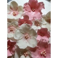 Fondant Cake Topper Set Rosa & Weiß, 20Er Set von Bellatopperandmore