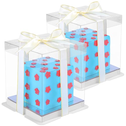 BELLE VOUS 2x transparente Kuchen Geschenke Transportbox 6 inch - 15x15x18cm - Geschenkbox Set durchsichtig mit Deckel - wiederverwendbare Geschenkbox transparent - Cake Box Presentbox BELLE VOUS 2x transparente Kuchen Geschenke Transportbox 6 inch - 15x15x18cm - Geschenkbox Set durchsichtig mit Deckel - wiederverwendbare Geschenkbox transparent - Cake Box Presentbox von BELLE VOUS