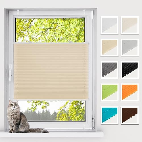 BelleMax Plissee ohne Bohren Klemmfix, Creme 75x130cm(BxH), Easyfix lichtdurchlässig Sichtschutz und Sonnenschutz, Jalousie Plisseerollo mit Klemmträger, Faltrollo für Fenster & Tür von BelleMax
