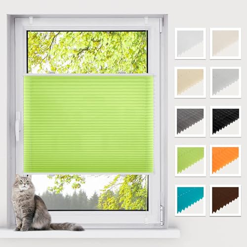 BelleMax Plissee ohne Bohren Klemmfix, Grün 45x110cm(BxH), Easyfix lichtdurchlässig Sichtschutz und Sonnenschutz, Jalousie Plisseerollo mit Klemmträger, Faltrollo für Fenster & Tür von BelleMax