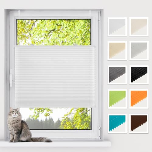 BelleMax Plissee ohne Bohren Klemmfix, Weiß 100x80cm(BxH), Easyfix lichtdurchlässig Sichtschutz und Sonnenschutz, Jalousie Plisseerollo mit Klemmträger, Faltrollo für Fenster & Tür von BelleMax