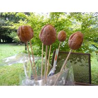 6 "Blumen" Zum Anmalen von Belledenoix