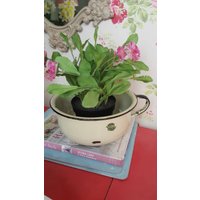 Cremefarbener Emaille Blumentopf Übertopf Aus Metall Mit Schwarzem Rand von BellemoonVintageShop