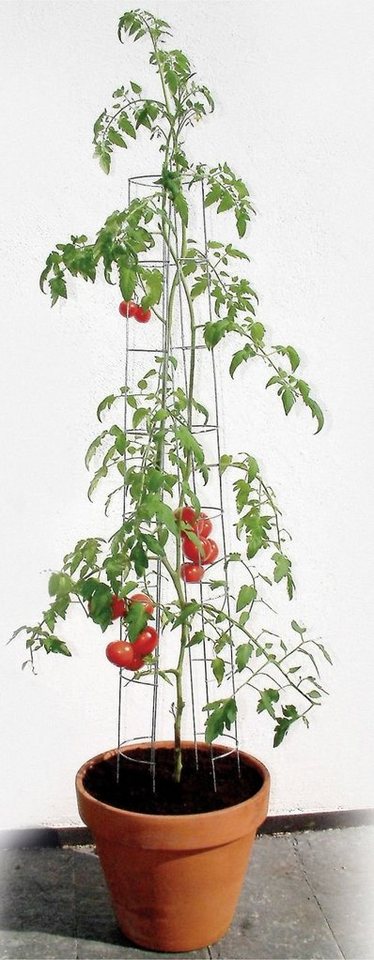 Bellissa Rankhilfe Bellissa Tomatenturm 120cm 120 cm hoch von Bellissa