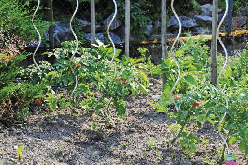 Bellissa Tomatenspiralstab 180 cm von Bellissa