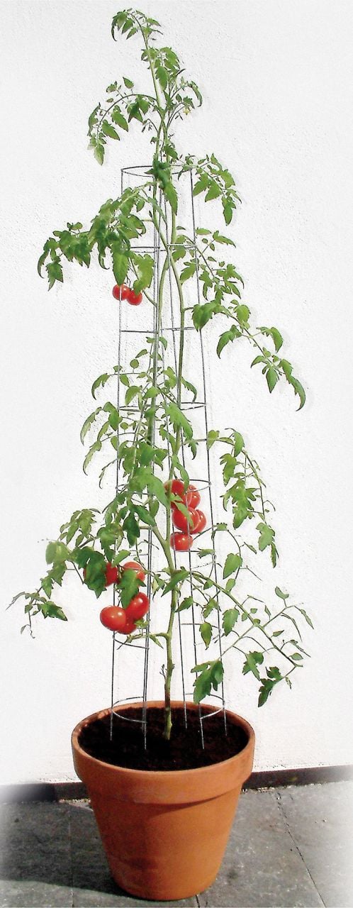 Bellissa Tomatenturm 120cm 120 cm hoch von Bellissa