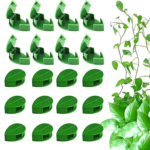 50 Stück Kletterpflanzen Befestigung Wand Pflanzenclips für Kletterpflanzen Pflanzen Clips Pflanzenhalter Wand Rankhilfehalter Pflanzenclips Selbstklebende Pflanzenklammern von Belugsin