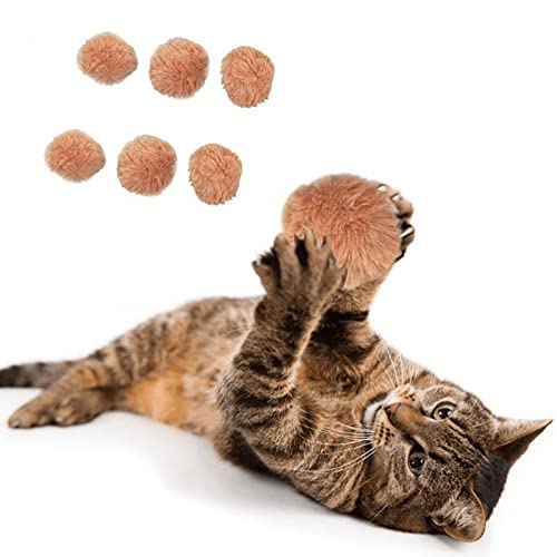 5cm Weiche Katze Bälle 6pcs Katze Pompoms Bunte Katze Spielzeug DIY Kätzchen Kau Spielzeug Interaktive Spielzeug Für Katzen Kätzchen 5cm Weiche Katze Bälle 6pcs Katze Pompoms Bunte Katze Spielzeug DIY Kätzchen Kau Spielzeug Interaktive Spielzeug Für Katzen Kätzchen von Bemvp