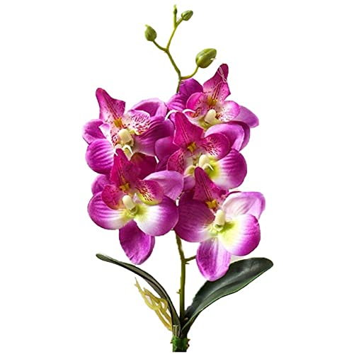 Simulation Phalaenopsis Blumen Künstliche Orchideenblüten Mini -lebensechter Blumenzweig Für Party Home Tischdekoration von Bemvp