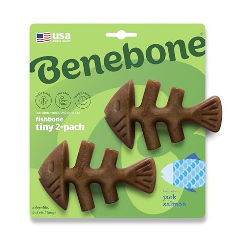 Benebone Durable Fishbone Dog Chew Toy for Aggressive Chewers, Jack Salmon, Tiny 2-Pack, Made in USA Benebone Durable Fishbone Dog Chew Toy for Aggressive Chewers, Jack Salmon, Tiny 2-Pack, Made in USA von Benebone