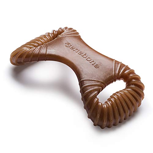 Benebone Dental Robustes Kauspielzeug für aggressive Kauer, echte Erdnuss, Medium von Benebone