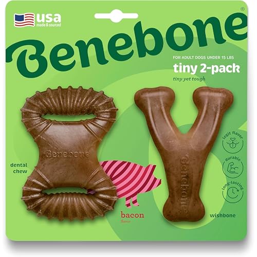 Benebone Welpen 2er-Pack Zahnkau-/Wishbone-Kauspielzeug, echter Speckgeschmack, Tiny Benebone Welpen 2er-Pack Zahnkau-/Wishbone-Kauspielzeug, echter Speckgeschmack, Tiny von Benebone