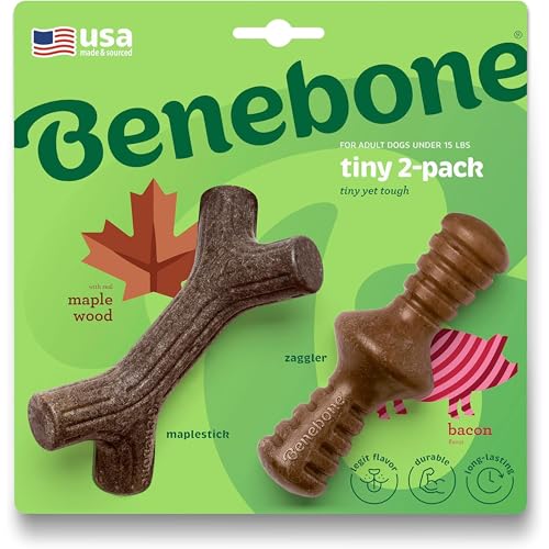 Benebone Winziger 2er-Pack unzerstörbarer Ahornstick/Zaggler für Aggressive Kauer, langanhaltender, robuster Langeweilebrecher für Hunde, echter Speck und Ahornholzgeschmack, für extra kleine Hunde, von Benebone