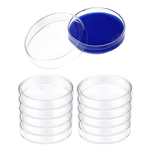 Benefischl Petrischalen-Set Glas, Borosilikat-Laborplatten, Transparente Gewebekulturplatten mit Deckel (10 StüCk, 60 X 20 Mm) von Benefischl